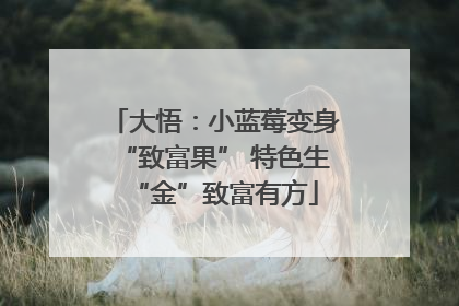 大悟：小蓝莓变身“致富果” 特色生“金”致富有方
