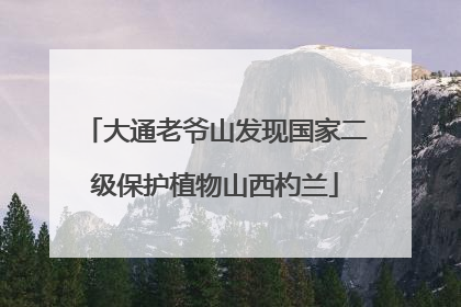大通老爷山发现国家二级保护植物山西杓兰