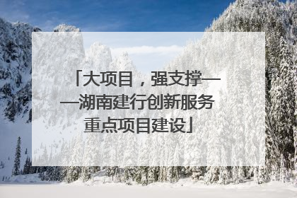 大项目，强支撑——湖南建行创新服务重点项目建设