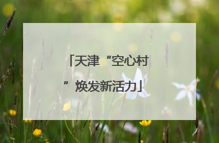 天津“空心村”焕发新活力