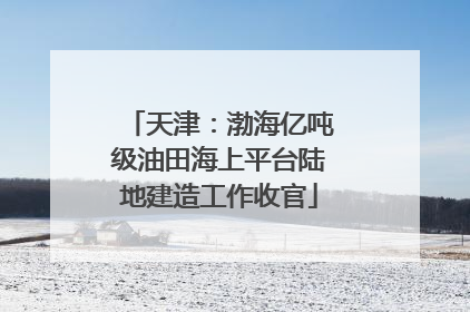 天津：渤海亿吨级油田海上平台陆地建造工作收官