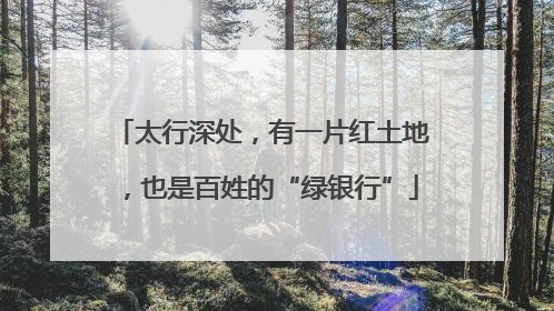 太行深处，有一片红土地，也是百姓的“绿银行”