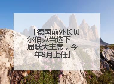 德国前外长贝尔伯克当选下一届联大主席，今年9月上任