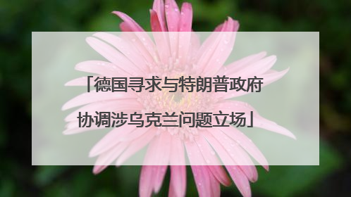 德国寻求与特朗普政府协调涉乌克兰问题立场