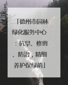 德州市园林绿化服务中心：抗旱、修剪、防治，精细养护保绿荫