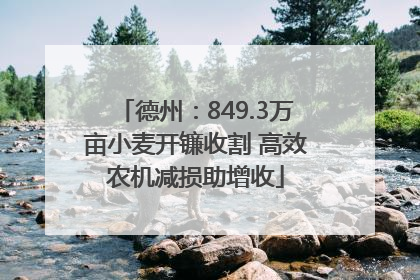 德州：849.3万亩小麦开镰收割 高效农机减损助增收