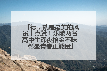 德，就是最美的风景丨点赞！乐陵两名高中生深夜拾金不昧 彰显青春正能量