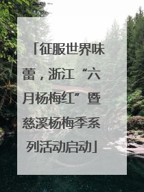 征服世界味蕾，浙江“六月杨梅红”暨慈溪杨梅季系列活动启动