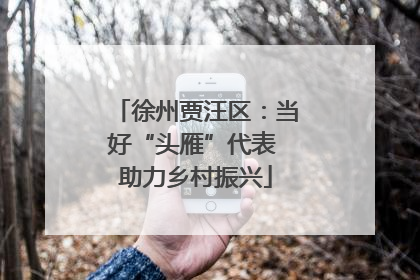 徐州贾汪区：当好“头雁”代表 助力乡村振兴