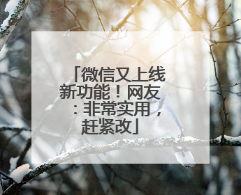 微信又上线新功能！网友：非常实用，赶紧改