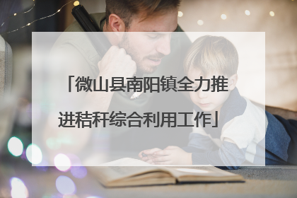 微山县南阳镇全力推进秸秆综合利用工作
