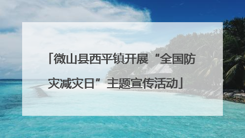 微山县西平镇开展“全国防灾减灾日”主题宣传活动