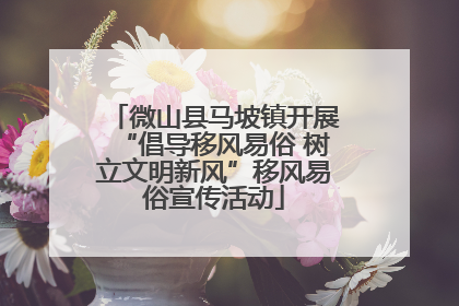 微山县马坡镇开展“倡导移风易俗 树立文明新风”移风易俗宣传活动