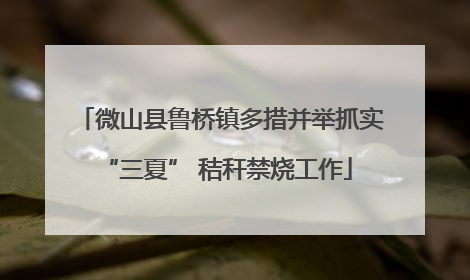 微山县鲁桥镇多措并举抓实 “三夏” 秸秆禁烧工作