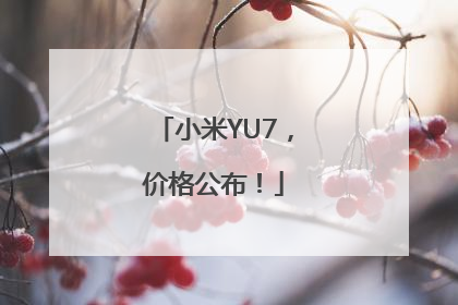 小米YU7，价格公布！