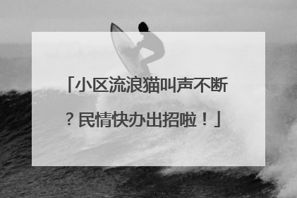 小区流浪猫叫声不断？民情快办出招啦！