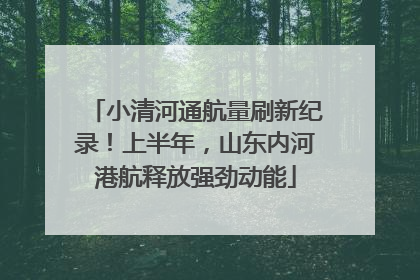 小清河通航量刷新纪录！上半年，山东内河港航释放强劲动能