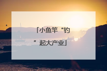 小鱼竿“钓”起大产业