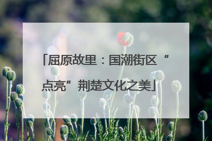屈原故里：国潮街区“点亮”荆楚文化之美
