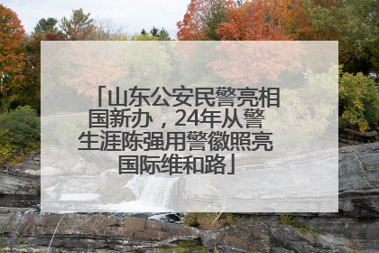 山东公安民警亮相国新办，24年从警生涯陈强用警徽照亮国际维和路