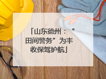 山东德州：“田间警务”为丰收保驾护航