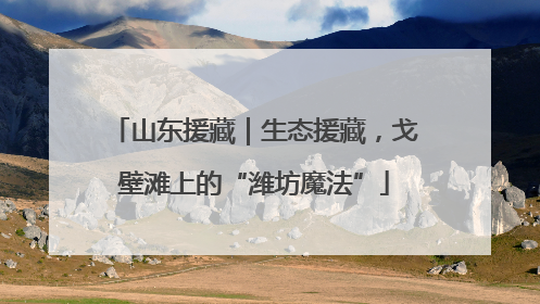 山东援藏｜生态援藏，戈壁滩上的“潍坊魔法”