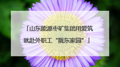 山东能源枣矿集团用爱筑就赴外职工“陇东家园”