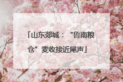 山东郯城：“鲁南粮仓”麦收接近尾声