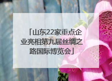 山东22家重点企业亮相第九届丝绸之路国际博览会