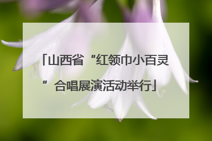 山西省“红领巾小百灵”合唱展演活动举行