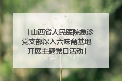 山西省人民医院急诊党支部深入六味斋基地开展主题党日活动