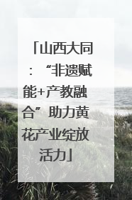 山西大同：“非遗赋能+产教融合”助力黄花产业绽放活力