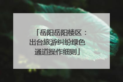 岳阳岳阳楼区：出台旅游纠纷绿色通道操作细则