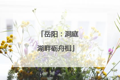 岳阳：洞庭湖畔砺舟楫