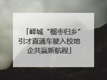 峄城“榴枣归乡”引才直通车驶入校地企共赢新航程