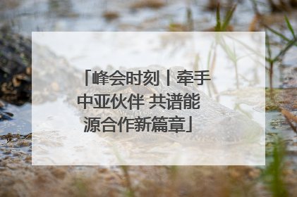 峰会时刻丨牵手中亚伙伴 共谱能源合作新篇章