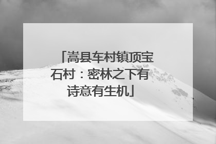 嵩县车村镇顶宝石村：密林之下有诗意有生机