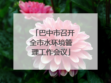 巴中市召开全市水环境管理工作会议