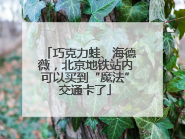 巧克力蛙、海德薇，北京地铁站内可以买到“魔法”交通卡了