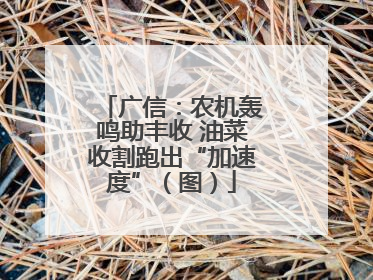 广信：农机轰鸣助丰收 油菜收割跑出“加速度”（图）