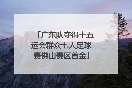 广东队夺得十五运会群众七人足球赛佛山赛区首金
