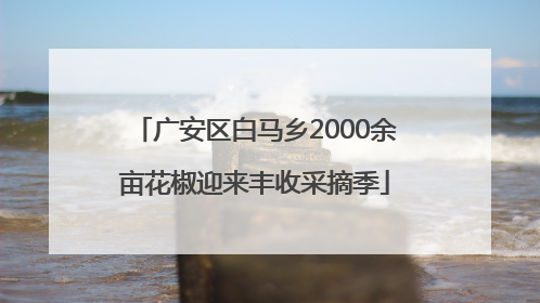 广安区白马乡2000余亩花椒迎来丰收采摘季