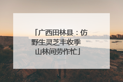 广西田林县：仿野生灵芝丰收季 山林间劳作忙