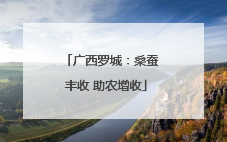 广西罗城：桑蚕丰收 助农增收