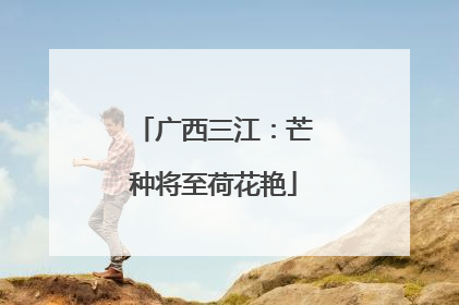 广西三江：芒种将至荷花艳