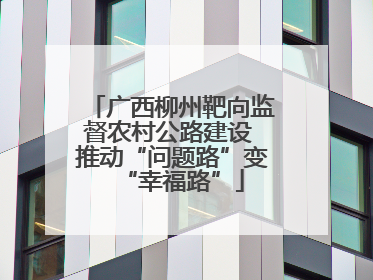 广西柳州靶向监督农村公路建设 推动“问题路”变“幸福路”