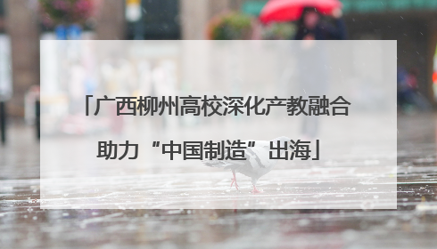 广西柳州高校深化产教融合 助力“中国制造”出海
