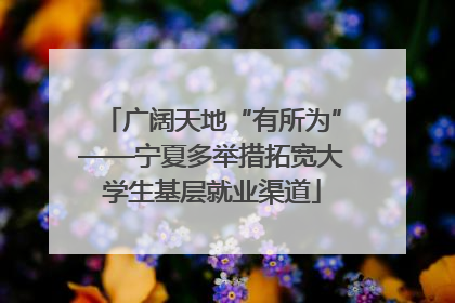 广阔天地“有所为”——宁夏多举措拓宽大学生基层就业渠道