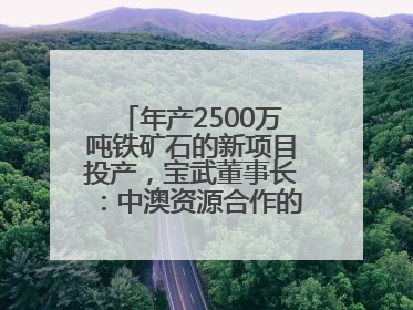年产2500万吨铁矿石的新项目投产，宝武董事长：中澳资源合作的里程碑