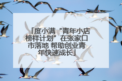 度小满“青年小店榜样计划”在张家口市落地 帮助创业青年快速成长